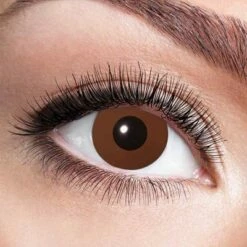 Kleurlenzen Bruin – Maandlenzen