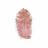 Struisveer 28-32 Cm Roze