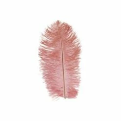 Struisveer 28-32 Cm Roze