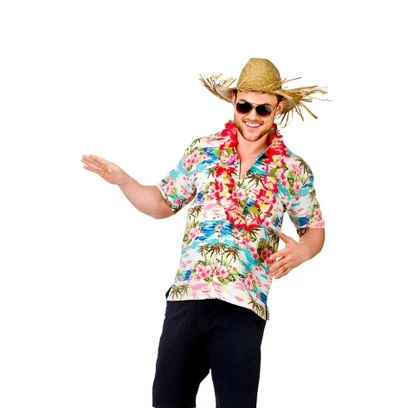 Hawaii Blouse 1 Hawaii Blouse