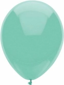 Ballonnen Mint (30cm) 10st