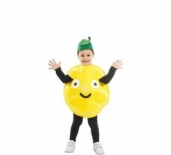 Citroen Kostuum Peuter
