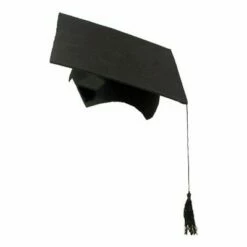 Professorhoed Vilt Zwart (2-delig)