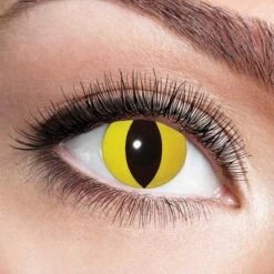 Kleurlenzen Gele Kat – Maandlenzen