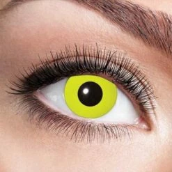 Kleurlenzen Geel – Maandlenzen