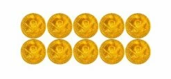 Piraten Munten 10 Stuks
