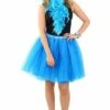 Tutu Dames Blauw