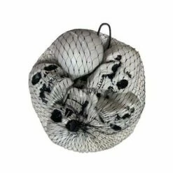 Schedels 6 Stuks (5cm)