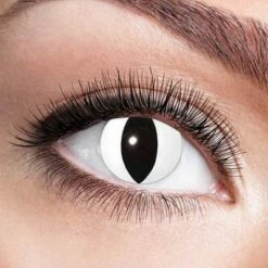 Kleurlenzen Witte Kat – Maandlenzen