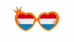 Bril Hartje Oranje