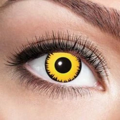 Kleurlenzen Leeuw – Maandlenzen