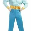 Geest Aladdin Kostuum