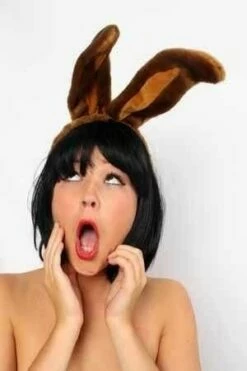 Hoofddiadeem Konijnenoren Bruin