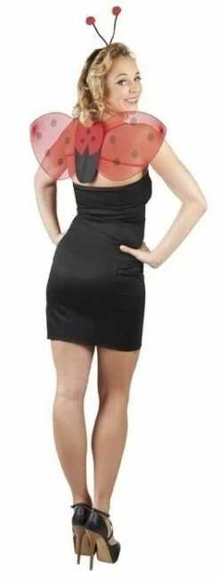 Lieveheersbeestje Set