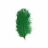 Struisveer 28-32 Cm Groen