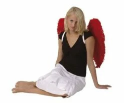 Engelenvleugels Rood (65 X 65 Cm)